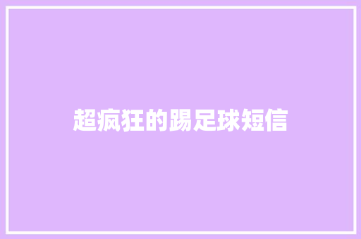 超疯狂的踢足球短信
