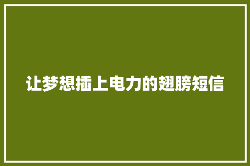 让梦想插上电力的翅膀短信
