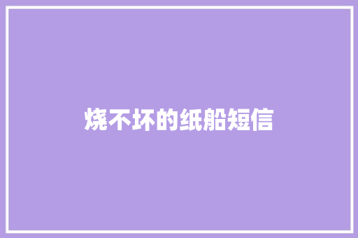 烧不坏的纸船短信