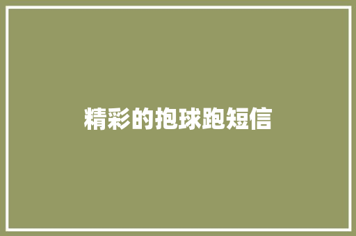 精彩的抱球跑短信