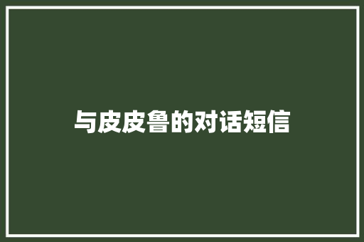 与皮皮鲁的对话短信