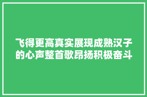 飞得更高真实展现成熟汉子的心声整首歌昂扬积极奋斗的精神