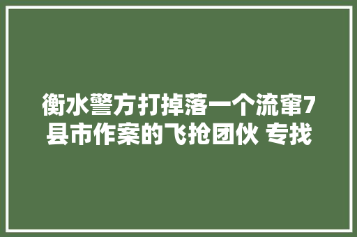 衡水警方打掉落一个流窜7县市作案的飞抢团伙 专找零丁女人作案 汽车知识