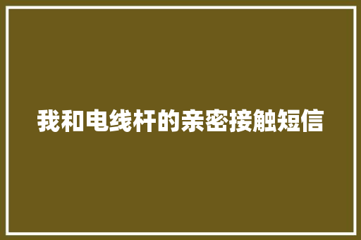 我和电线杆的亲密接触短信