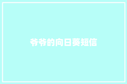爷爷的向日葵短信