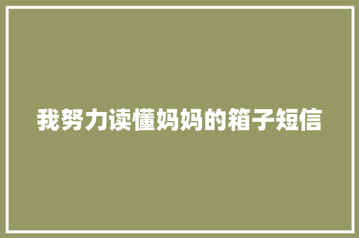 我努力读懂妈妈的箱子短信