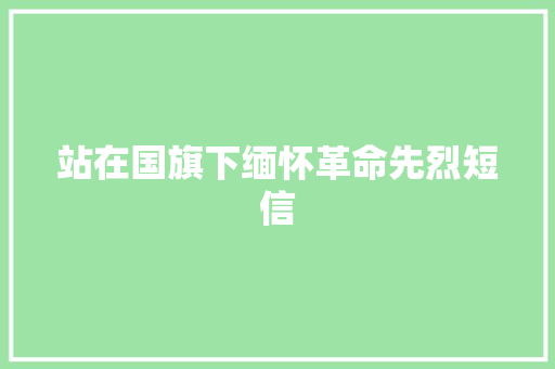 站在国旗下缅怀革命先烈短信