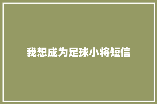 我想成为足球小将短信