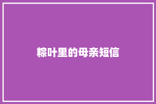 粽叶里的母亲短信