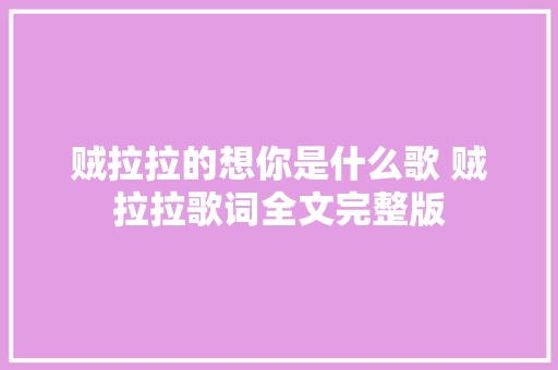 贼拉拉的想你是什么歌 贼拉拉歌词全文完整版