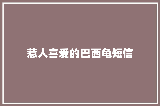 惹人喜爱的巴西龟短信