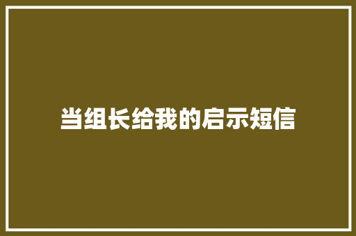 当组长给我的启示短信
