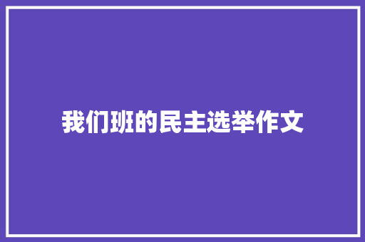 我们班的民主选举作文
