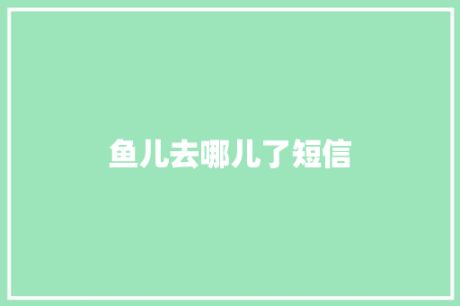 鱼儿去哪儿了短信