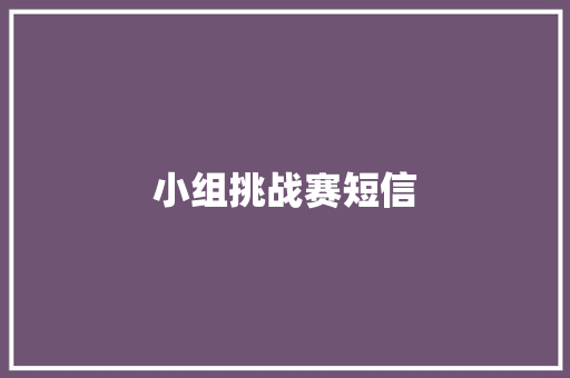 小组挑战赛短信