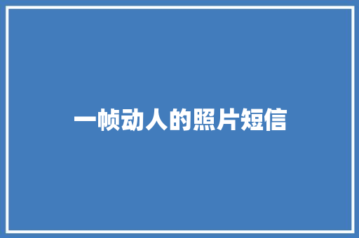 一帧动人的照片短信