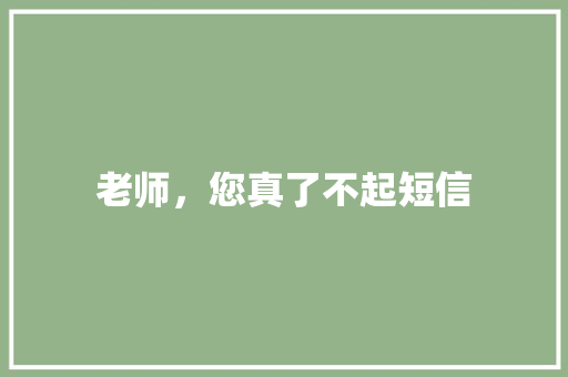 老师，您真了不起短信