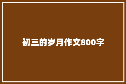 初三的岁月作文800字