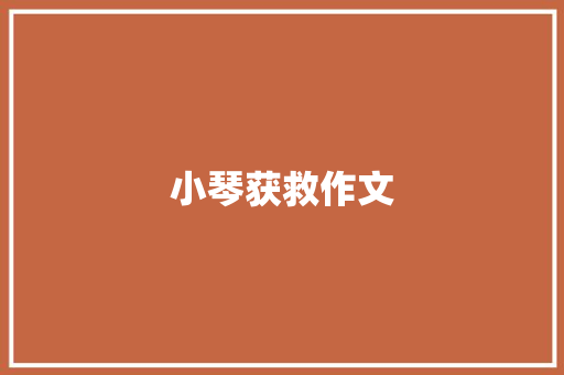 小琴获救作文