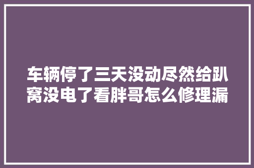车辆停了三天没动尽然给趴窝没电了看胖哥怎么修理漏电 汽车知识