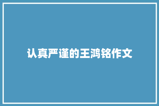 认真严谨的王鸿铭作文