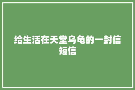 给生活在天堂乌龟的一封信短信