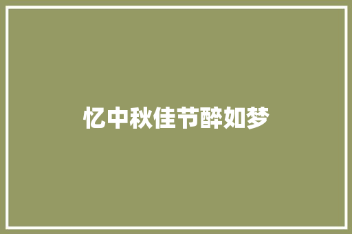 忆中秋佳节醉如梦