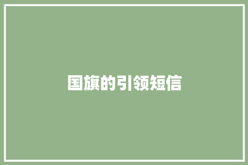 国旗的引领短信
