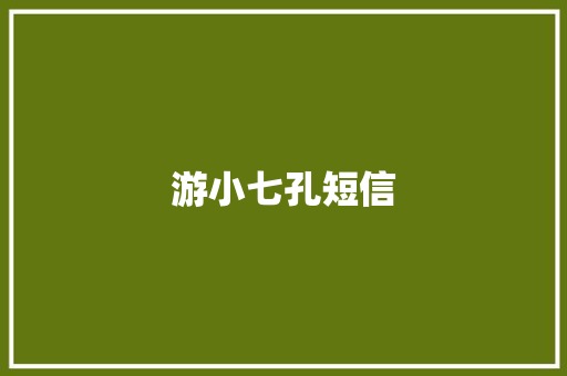 游小七孔短信