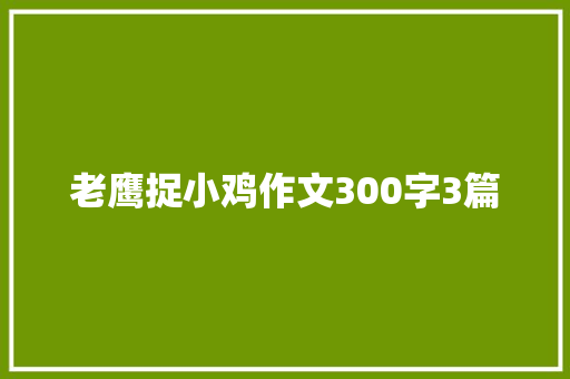 老鹰捉小鸡作文300字3篇