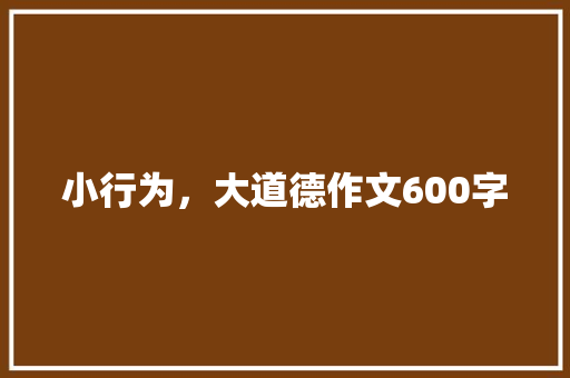 小行为，大道德作文600字