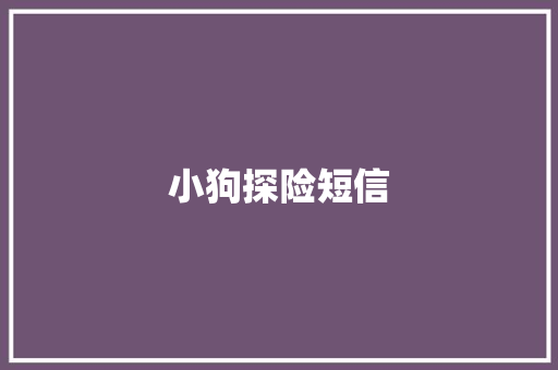 小狗探险短信