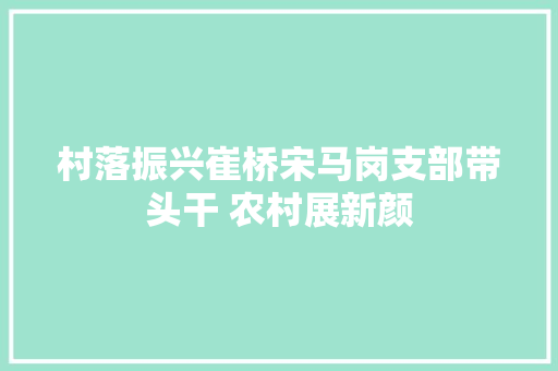 村落振兴崔桥宋马岗支部带头干 农村展新颜 汽车知识
