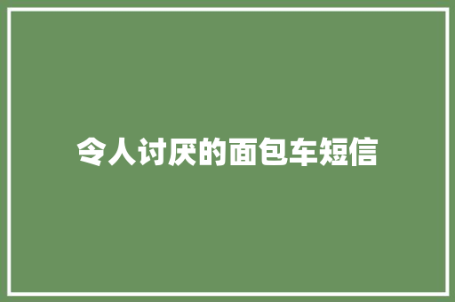 令人讨厌的面包车短信