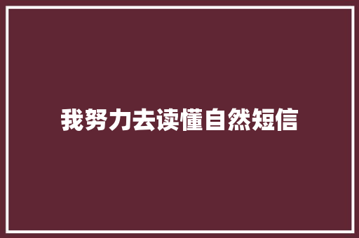 我努力去读懂自然短信
