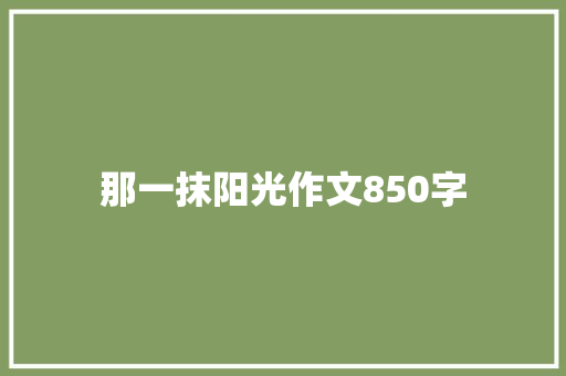 那一抹阳光作文850字