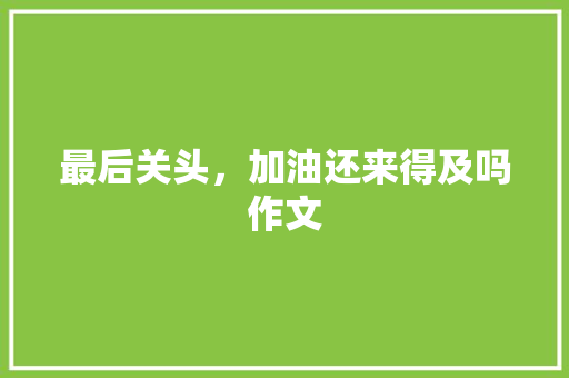 最后关头，加油还来得及吗作文