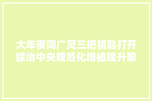 大年夜同广灵三把钥匙打开综治中央规范化培植提升聪慧锁 汽车知识