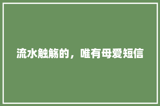 流水触觞的，唯有母爱短信