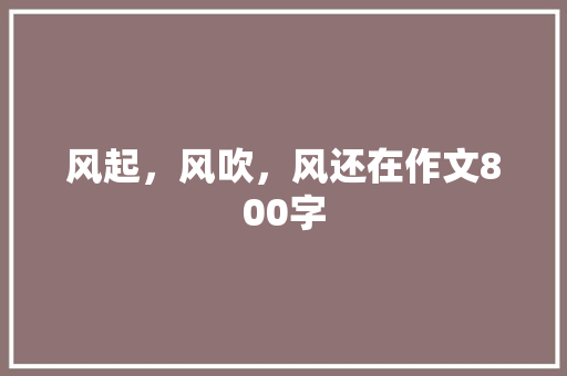 风起，风吹，风还在作文800字