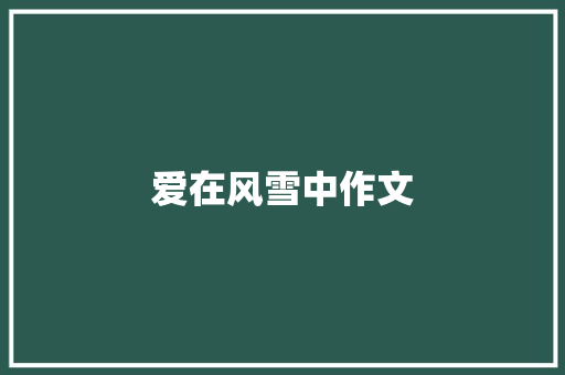 爱在风雪中作文