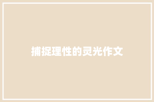 捕捉理性的灵光作文
