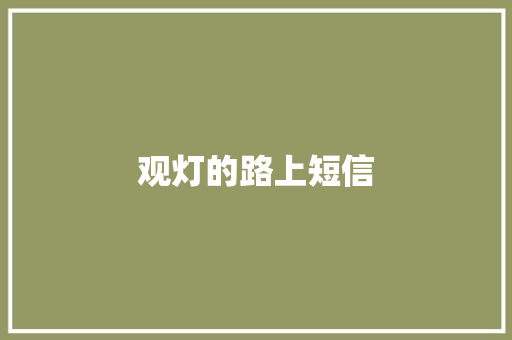 观灯的路上短信