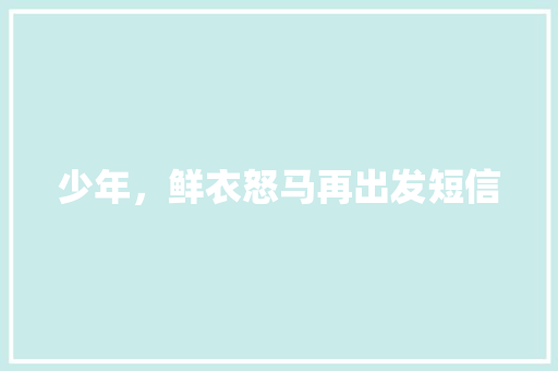 少年，鲜衣怒马再出发短信