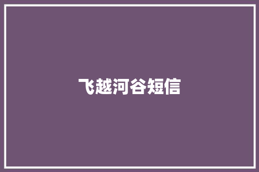 飞越河谷短信