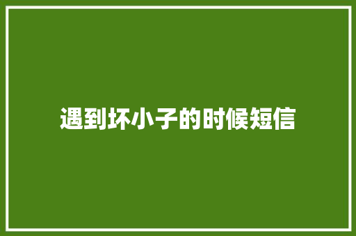 遇到坏小子的时候短信