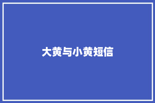 大黄与小黄短信