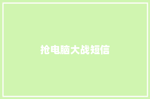 抢电脑大战短信