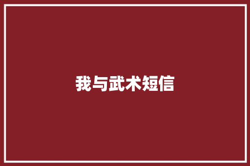 我与武术短信