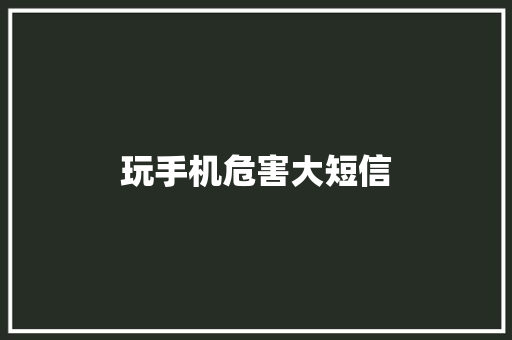 玩手机危害大短信